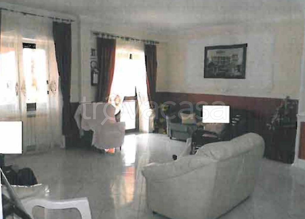 immagine annuncio 5 di 14
