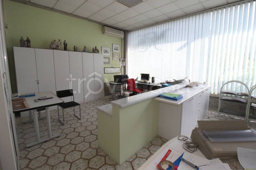 immagine annuncio 4 di 14