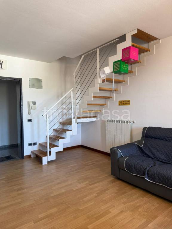 immagine annuncio 5 di 13