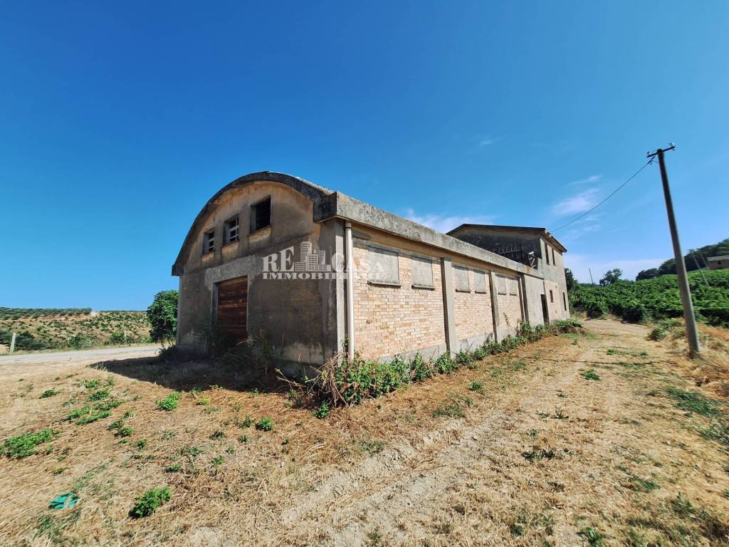 immagine annuncio 6 di 12