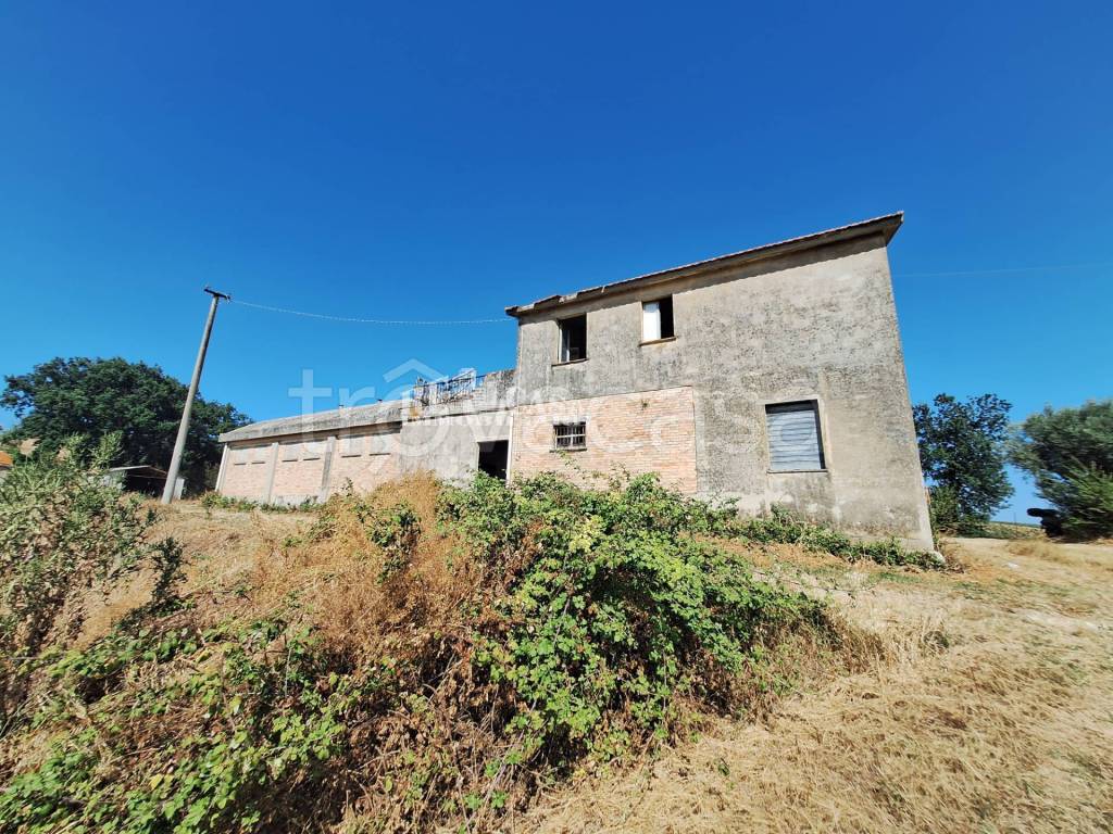 immagine annuncio 7 di 12