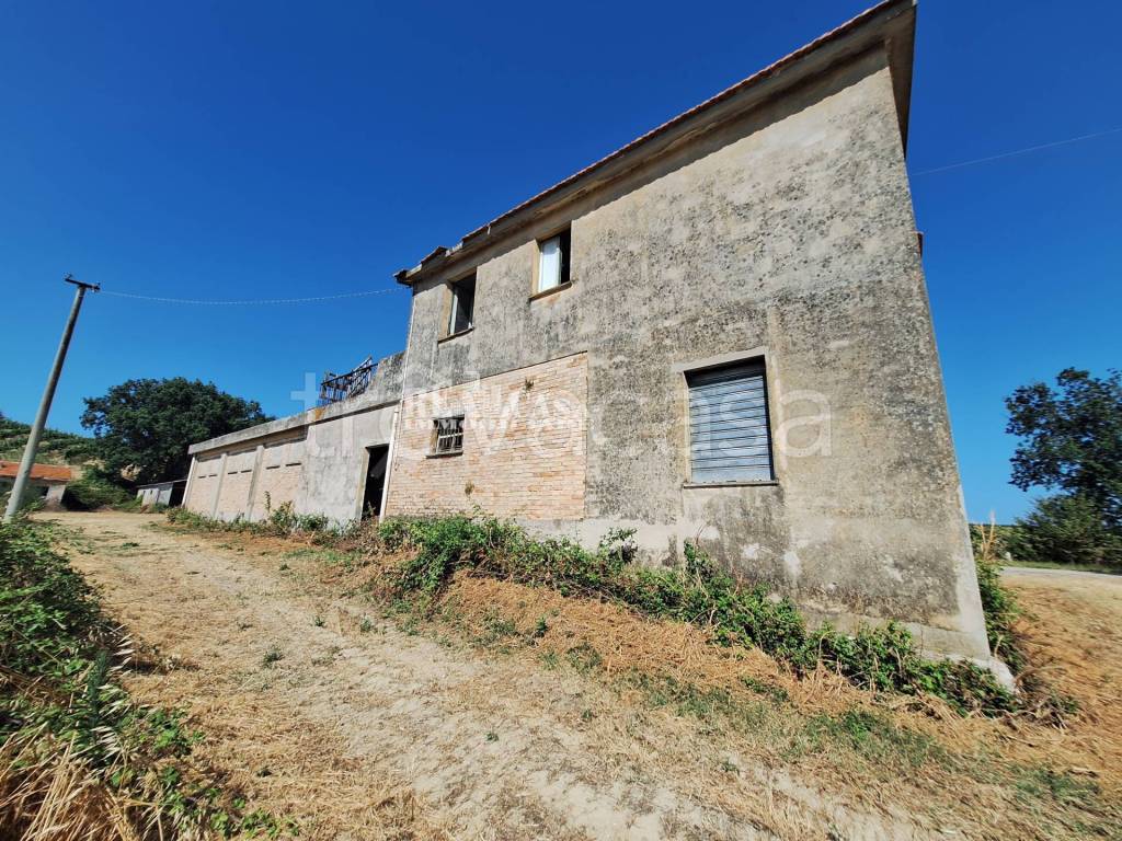 immagine annuncio 8 di 12