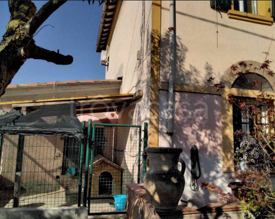 immagine annuncio 1 di 12