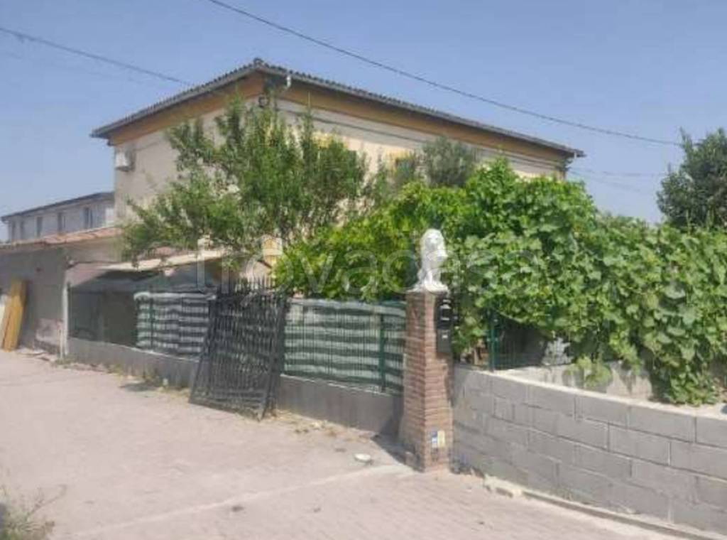 immagine annuncio 6 di 12