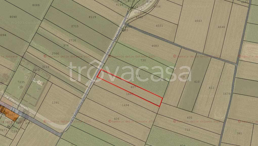 immagine annuncio 1 di 4