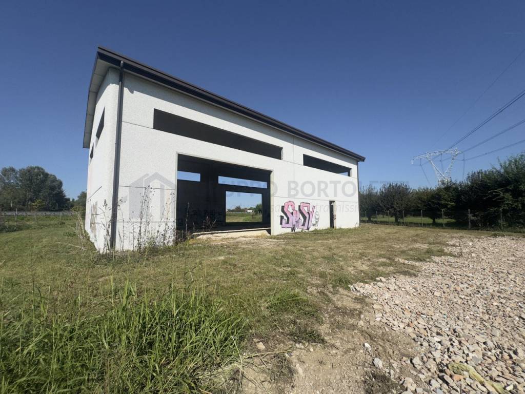 immagine annuncio 8 di 13