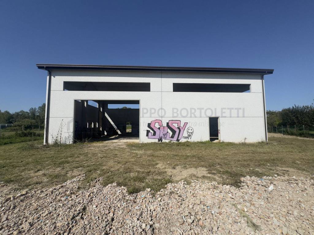 immagine annuncio 9 di 13