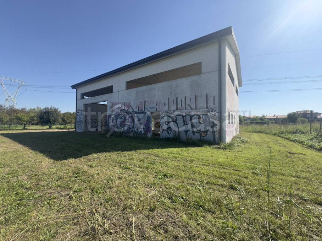 immagine annuncio 10 di 13