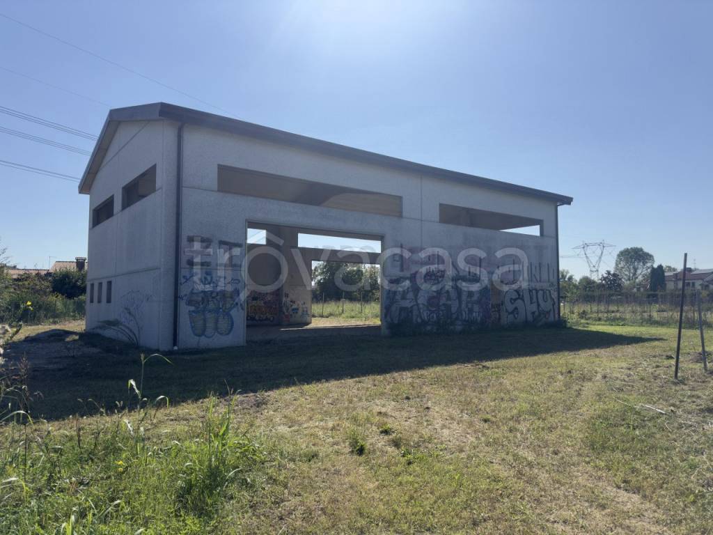 immagine annuncio 11 di 13