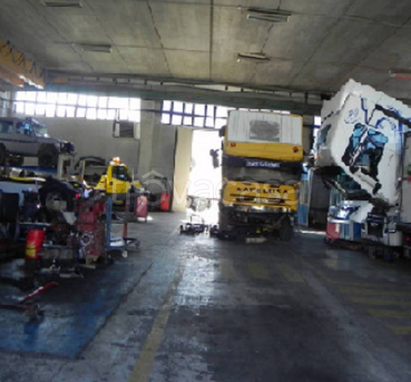 immagine annuncio 1 di 12