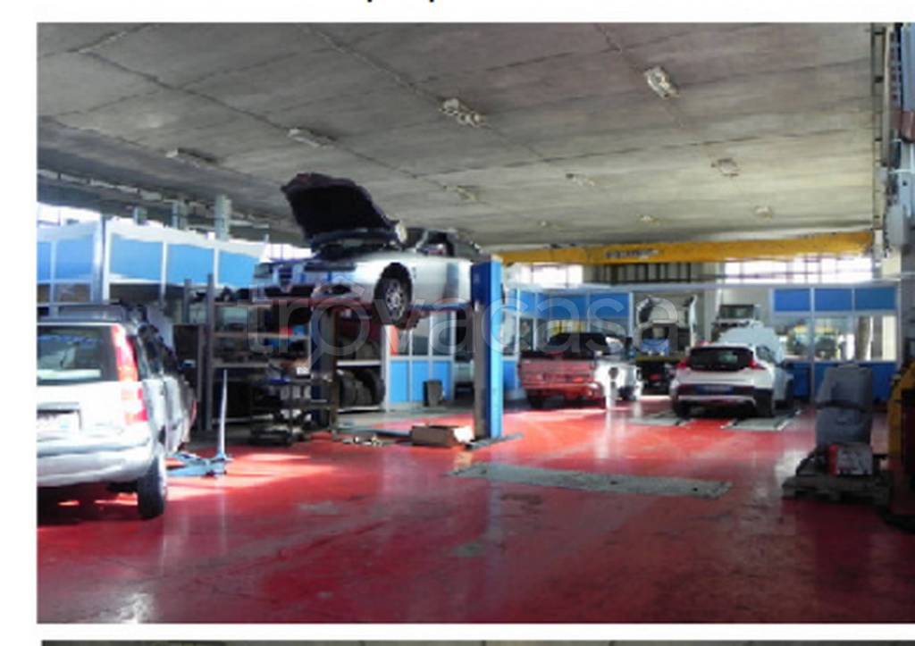 immagine annuncio 3 di 12