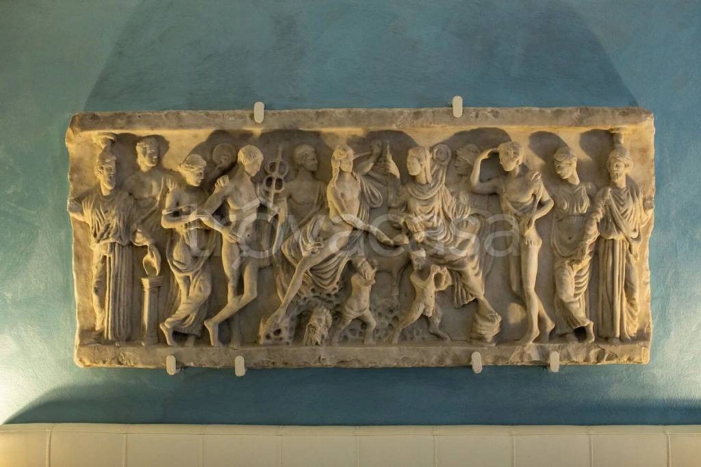 immagine annuncio 10 di 12