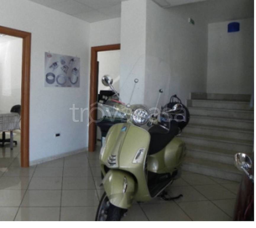 immagine annuncio 7 di 12