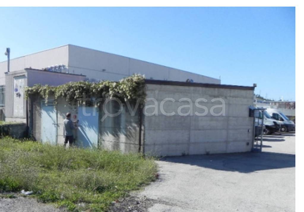 immagine annuncio 8 di 12