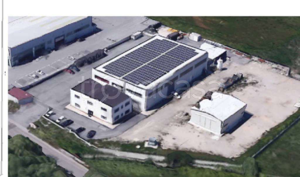 immagine annuncio 9 di 12