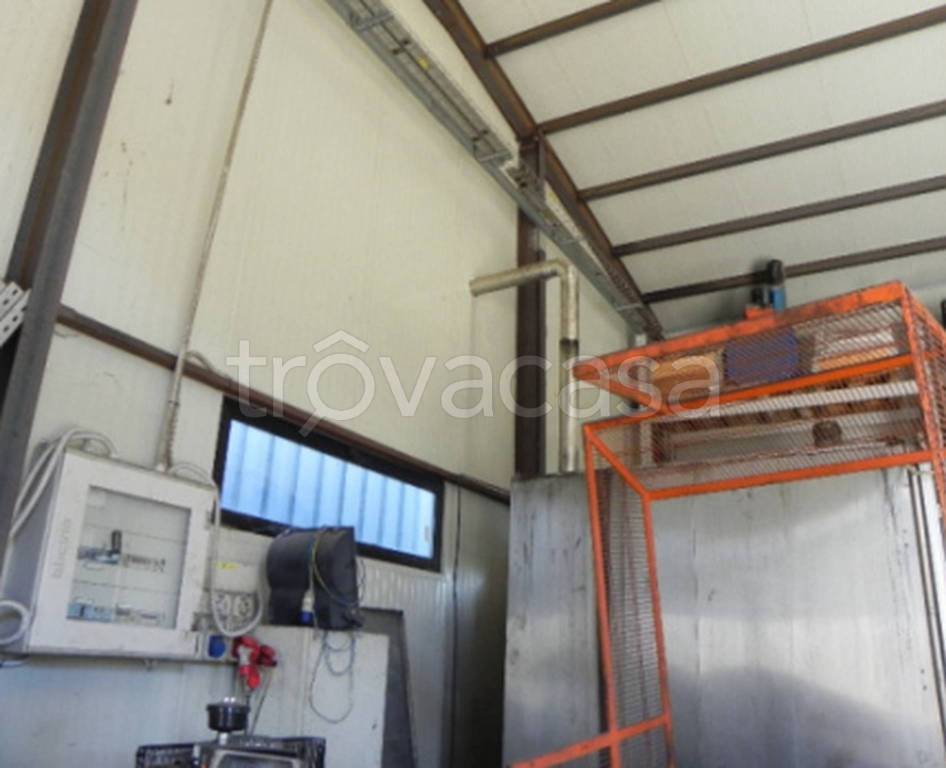 immagine annuncio 10 di 12