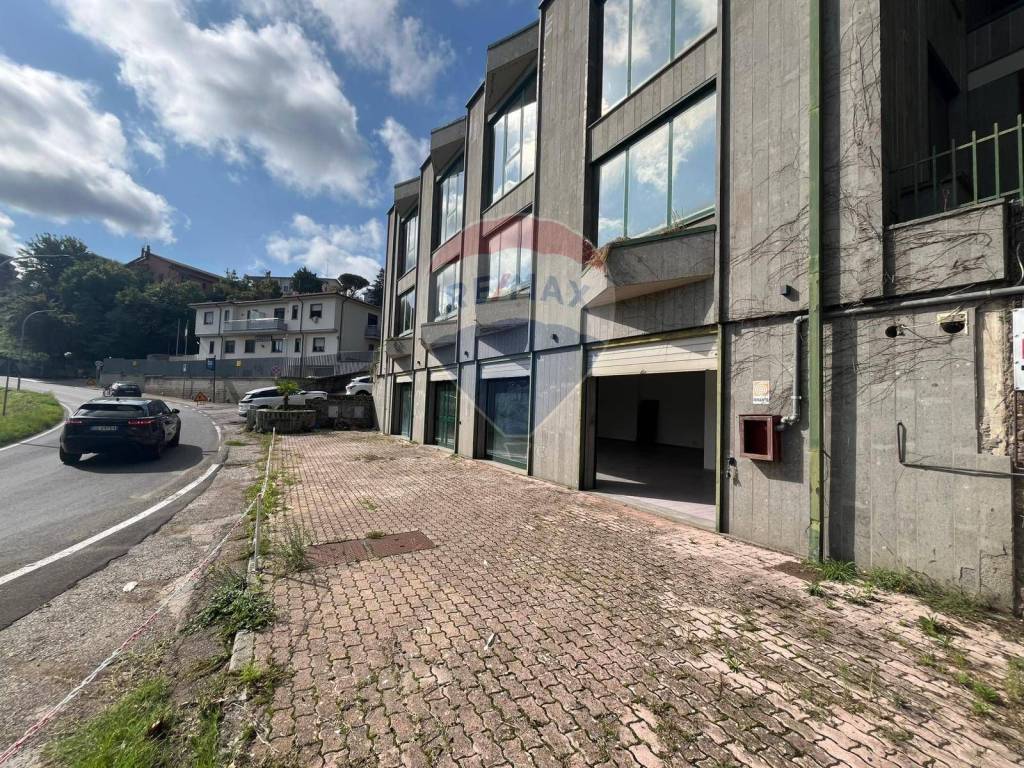 immagine annuncio 4 di 14