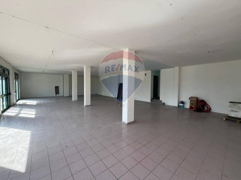 immagine annuncio 9 di 14