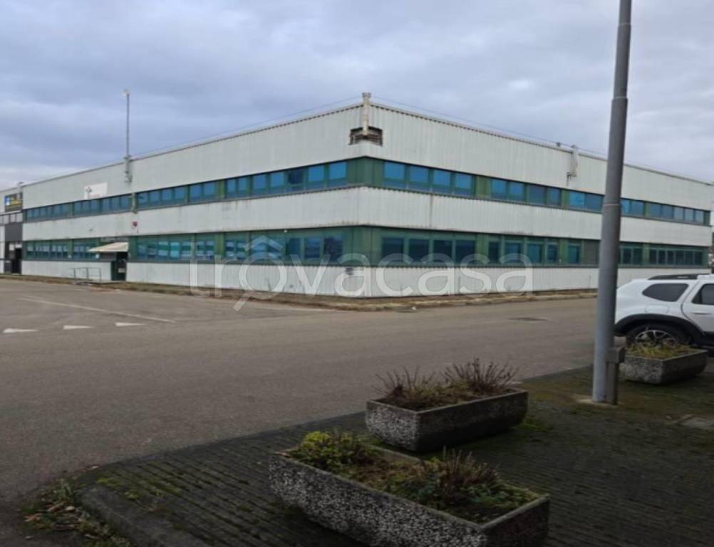 immagine annuncio 1 di 11