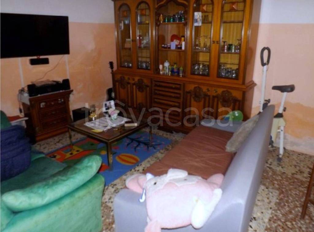 immagine annuncio 6 di 14