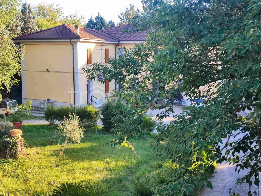 immagine annuncio 1 di 13