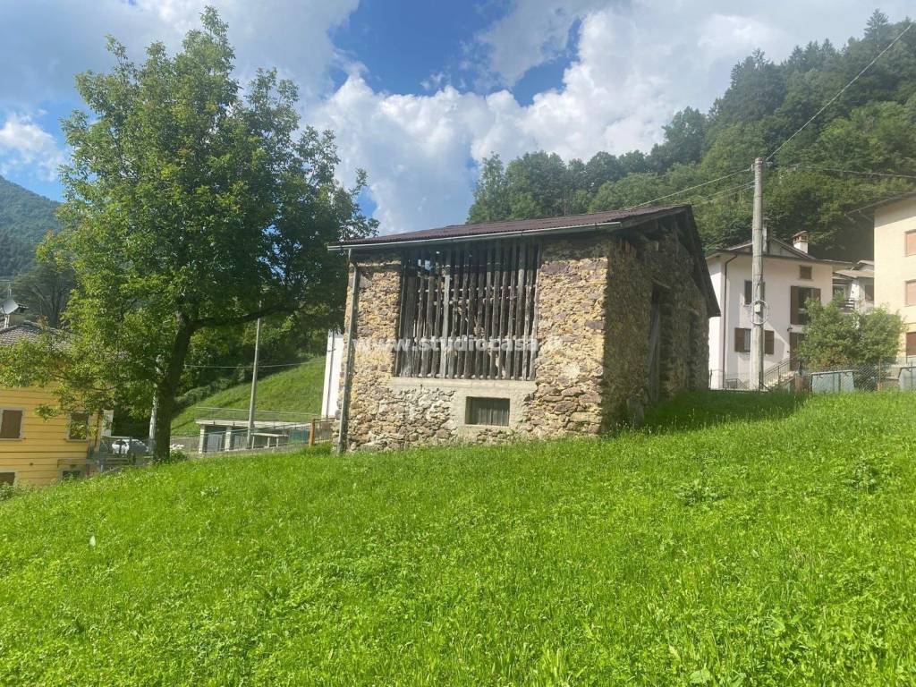 immagine annuncio 6 di 8