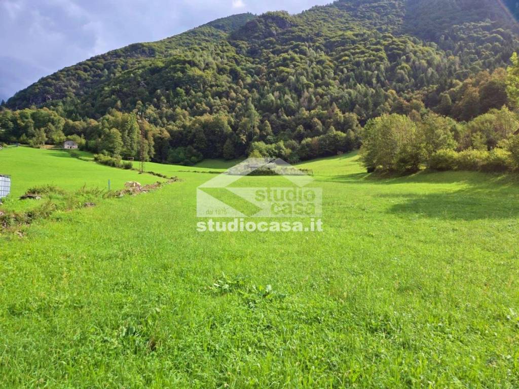 immagine annuncio 2 di 11