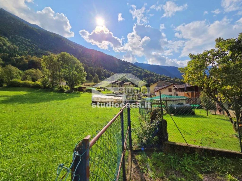 immagine annuncio 3 di 11