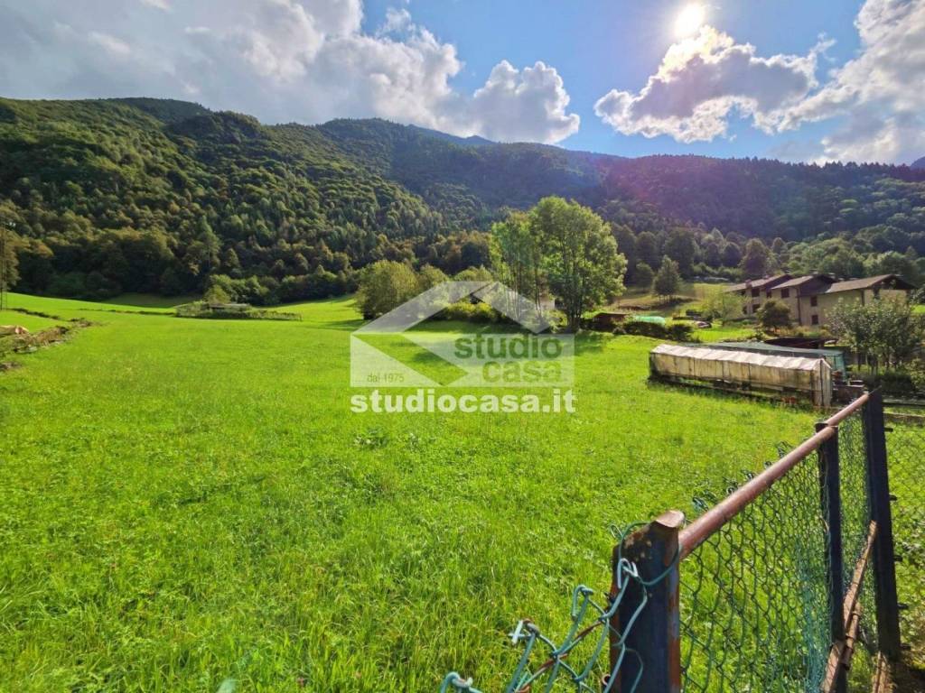 immagine annuncio 4 di 11