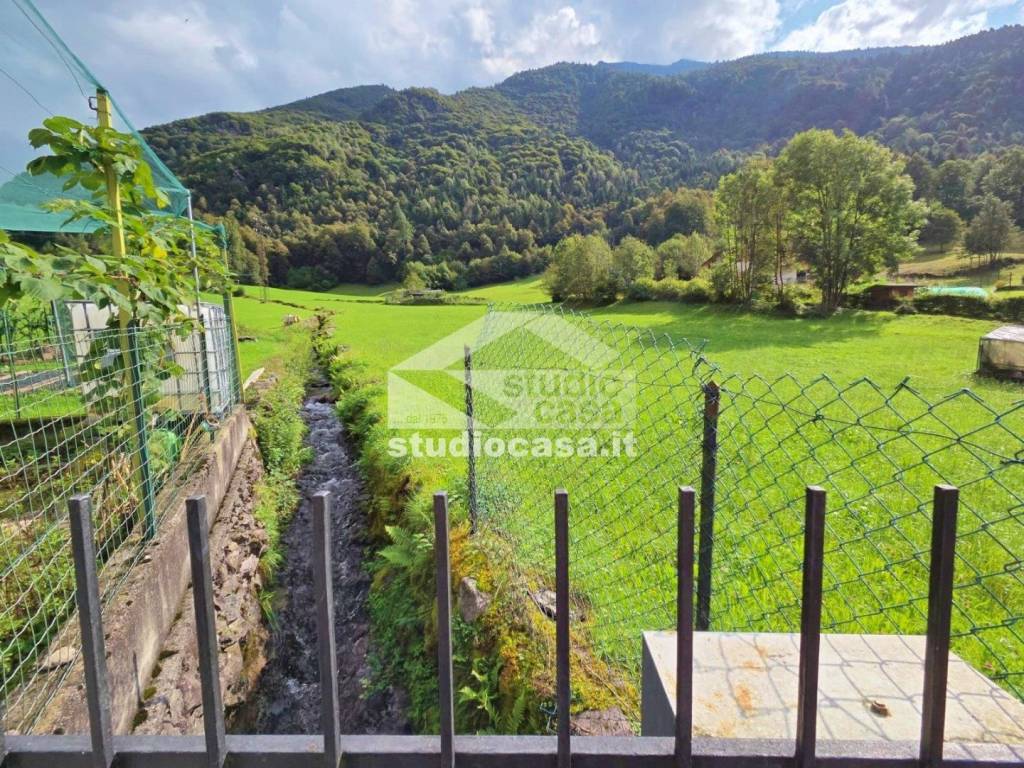 immagine annuncio 5 di 11