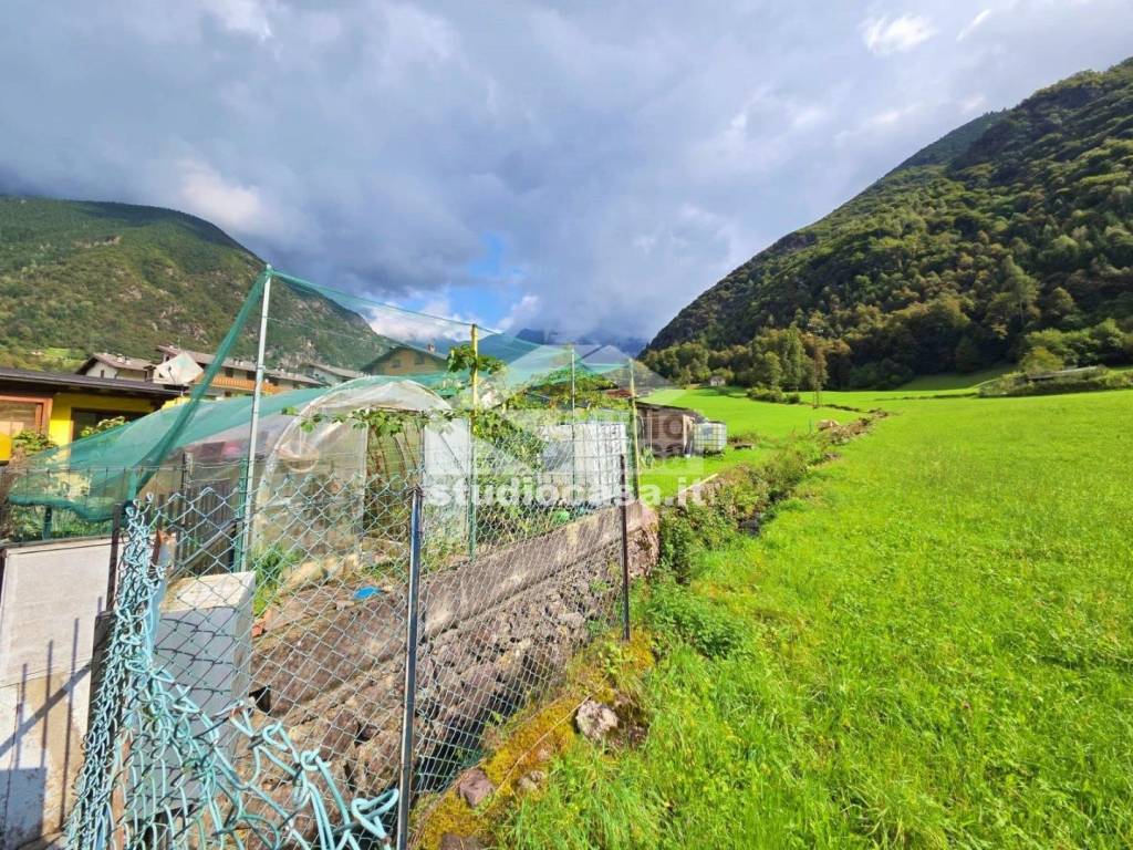 immagine annuncio 6 di 11