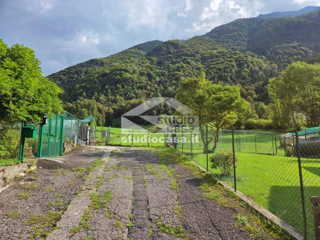 immagine annuncio 9 di 11