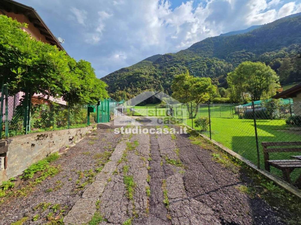 immagine annuncio 10 di 11