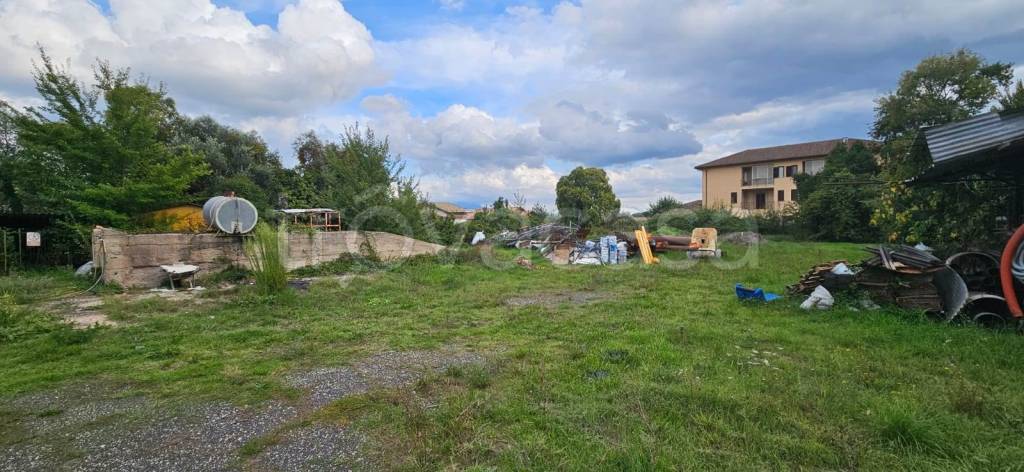 immagine annuncio 3 di 12