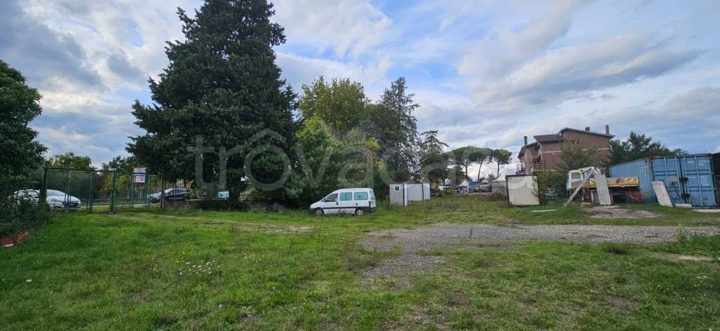 immagine annuncio 6 di 12