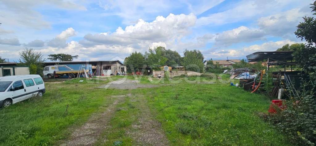 immagine annuncio 9 di 12