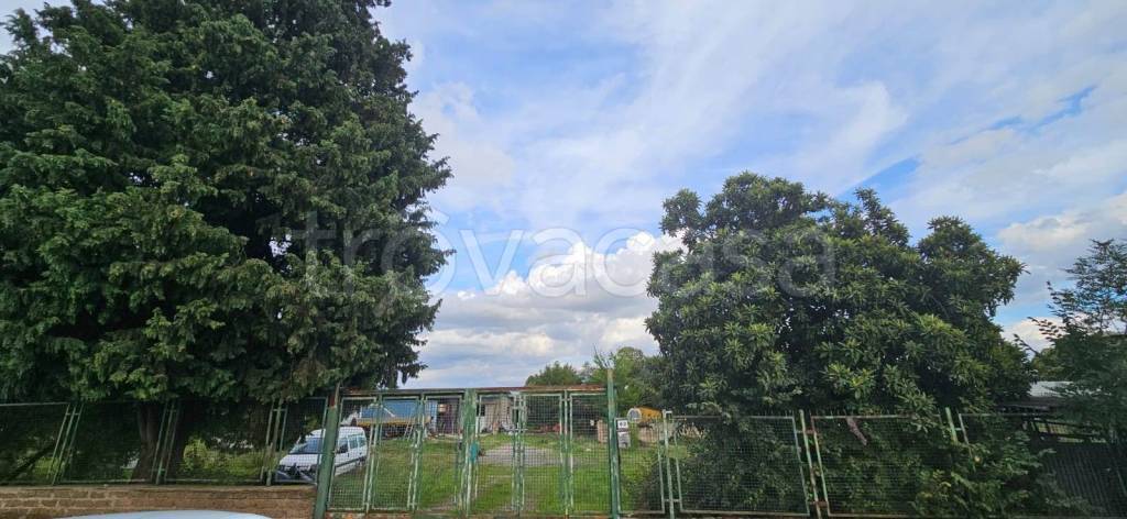 immagine annuncio 10 di 12