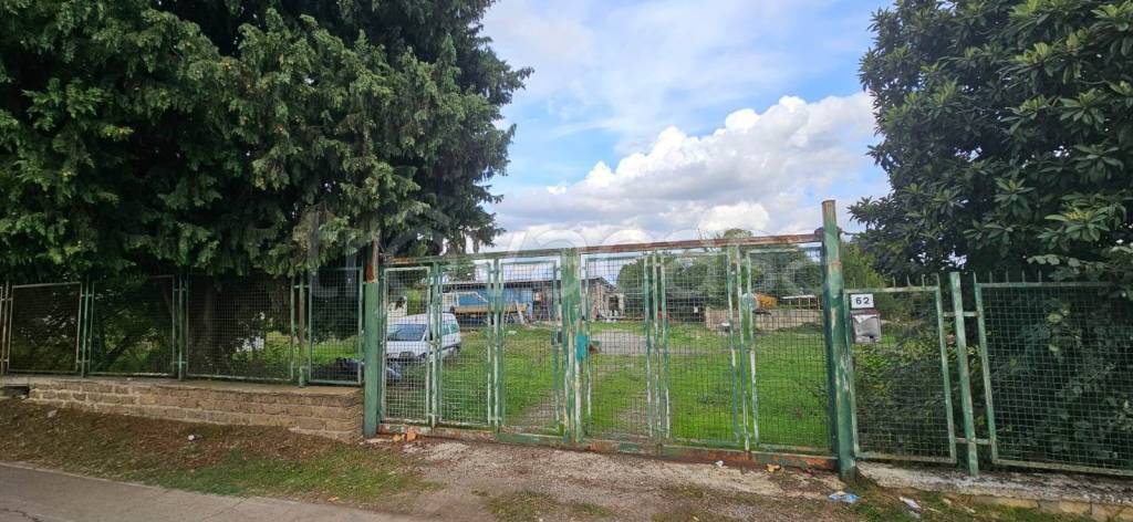 immagine annuncio 11 di 12