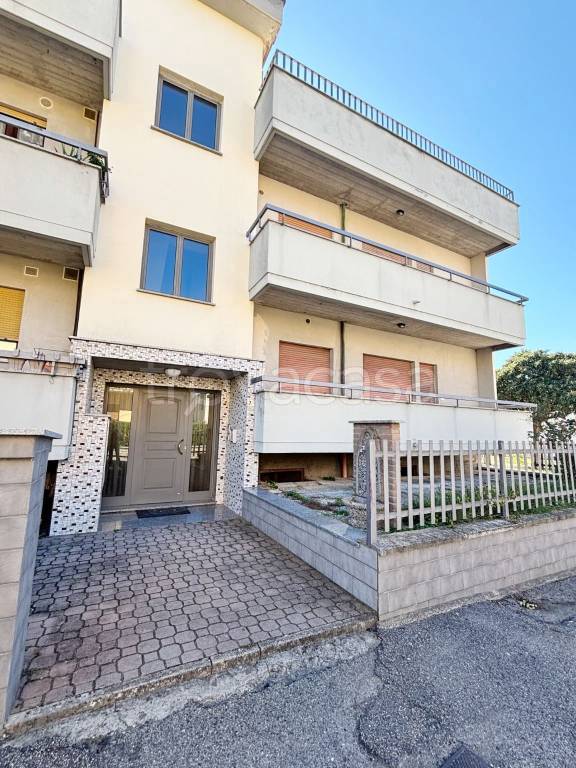 immagine annuncio 2 di 15