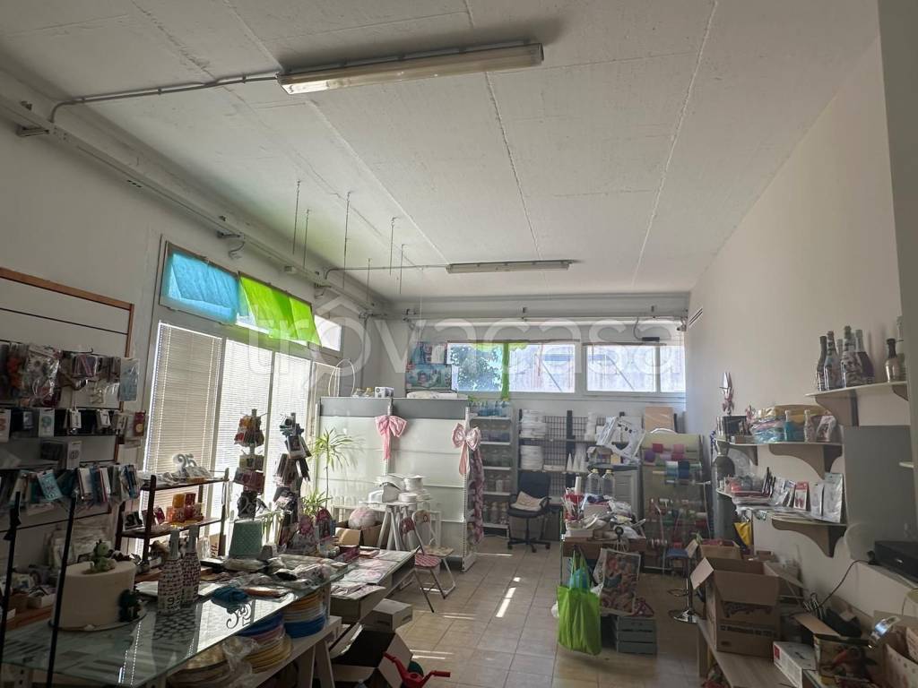 immagine annuncio 2 di 13