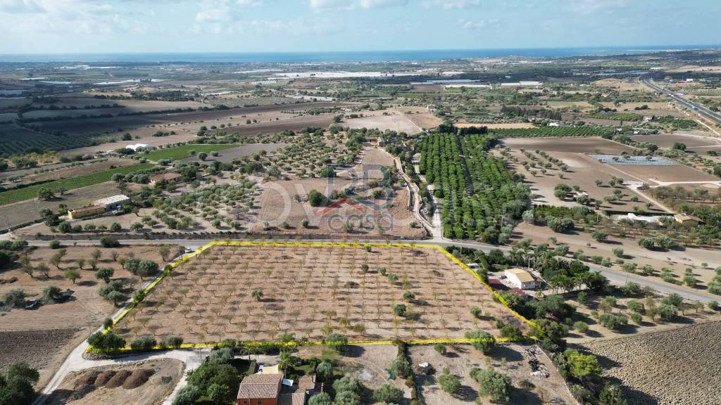 immagine annuncio 4 di 7