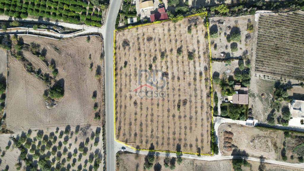 immagine annuncio 5 di 7