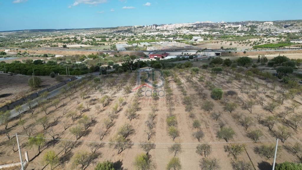 immagine annuncio 6 di 7