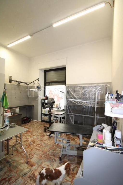 immagine annuncio 7 di 12