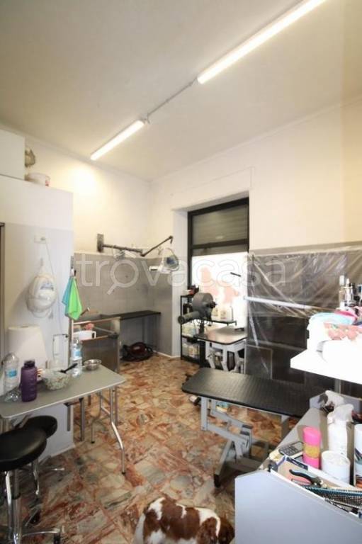 immagine annuncio 8 di 12