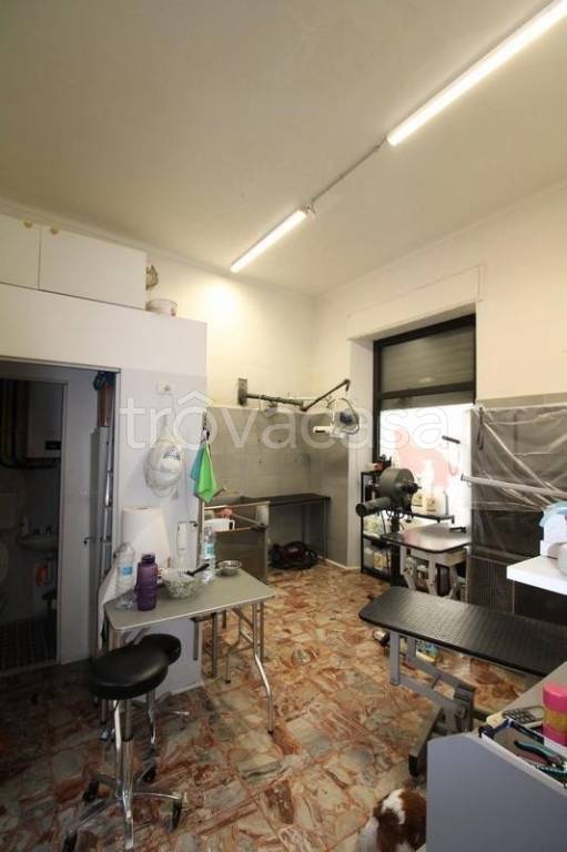 immagine annuncio 9 di 12