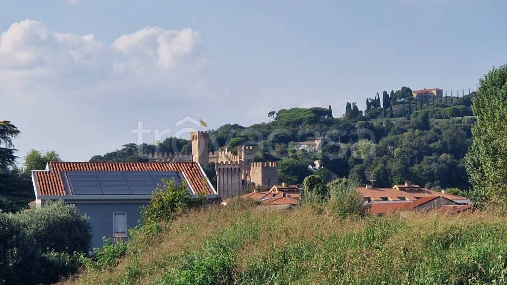 immagine annuncio 12 di 14