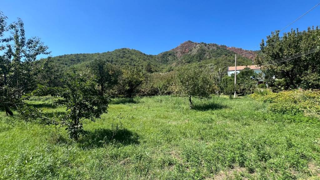 immagine annuncio 7 di 9