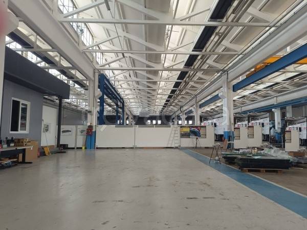 immagine annuncio 1 di 8