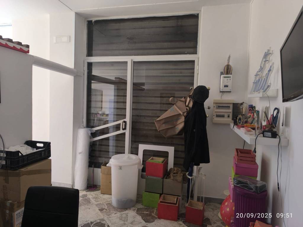 immagine annuncio 10 di 13